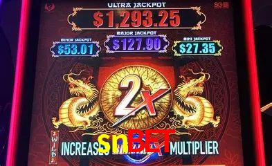 Descubra o Mundo do Cassino Online com snbet